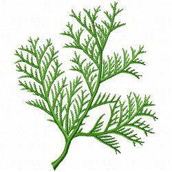 Leaves Embroidery Design 8